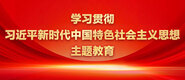 男人叉进女人身体阴道视频素材学习贯彻习近平新时代中国特色社会主义思想主题教育_fororder_ad-371X160(2)